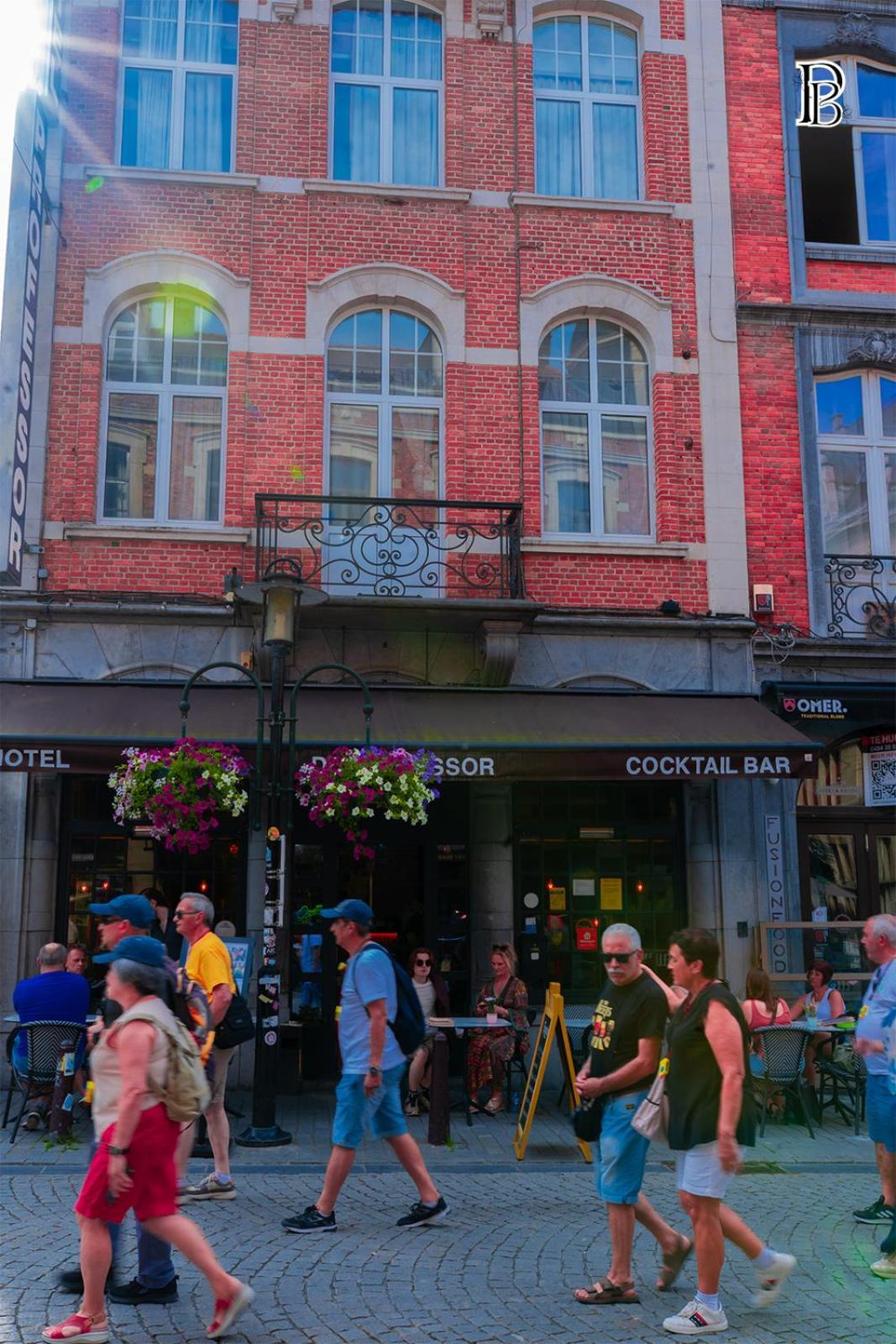 Hotel Professor Leuven Centrum Екстериор снимка
