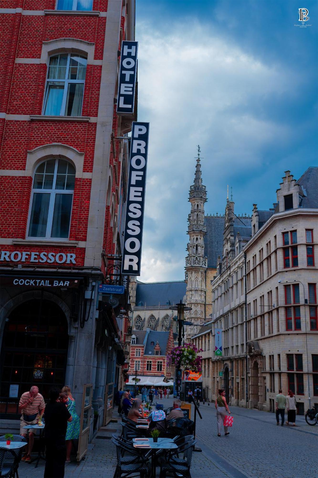 Hotel Professor Leuven Centrum Екстериор снимка