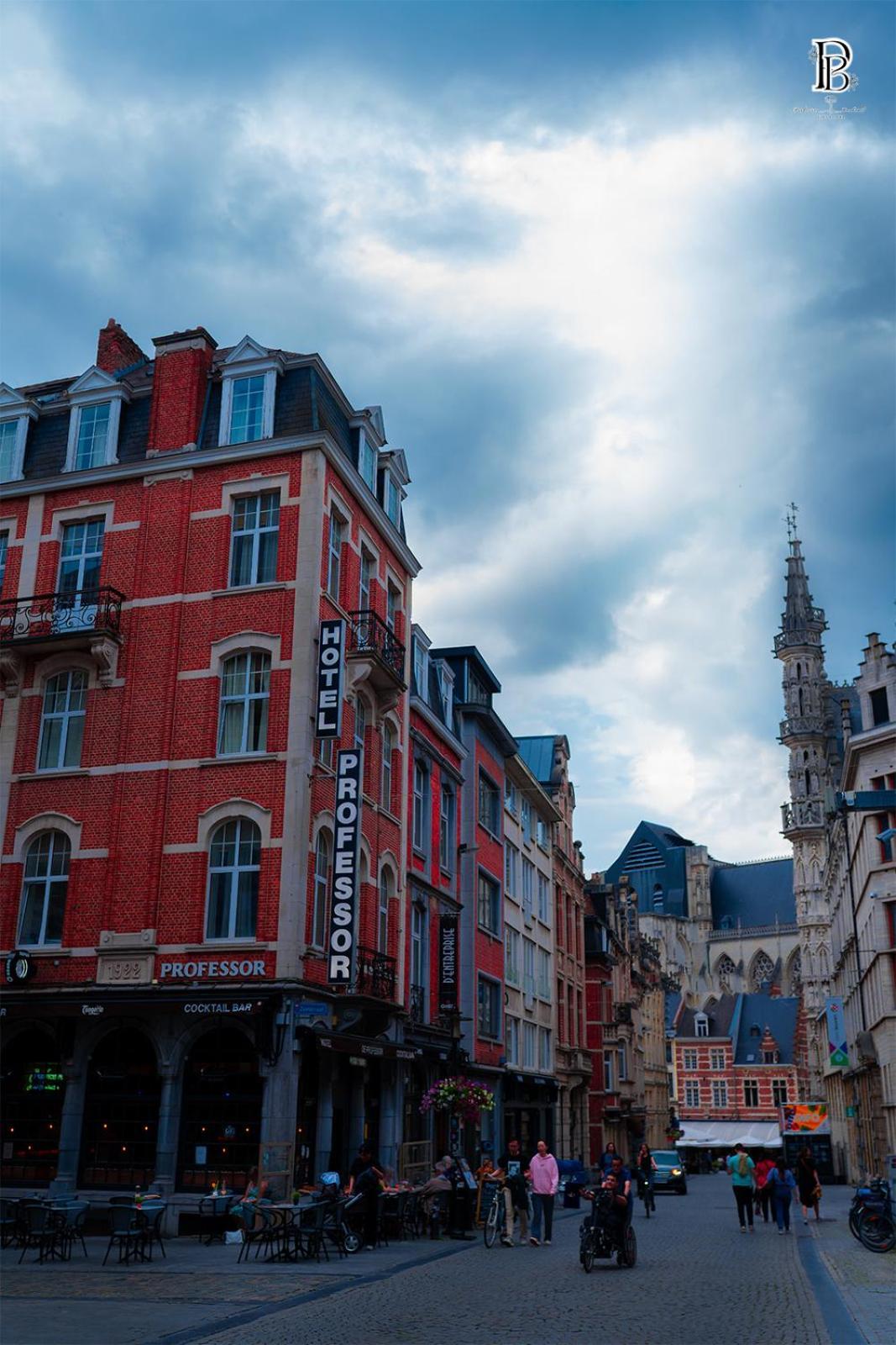 Hotel Professor Leuven Centrum Екстериор снимка