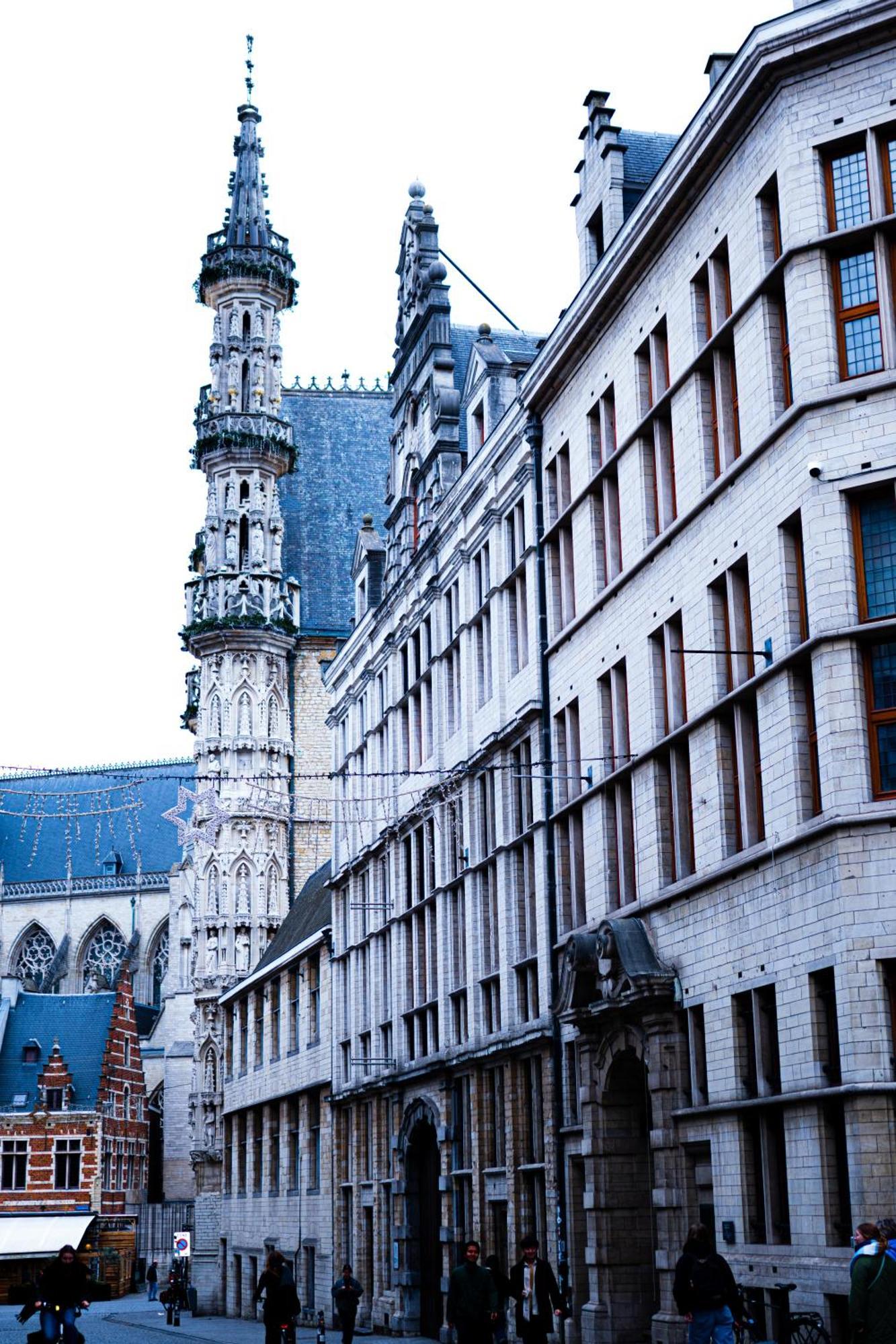 Hotel Professor Leuven Centrum Екстериор снимка