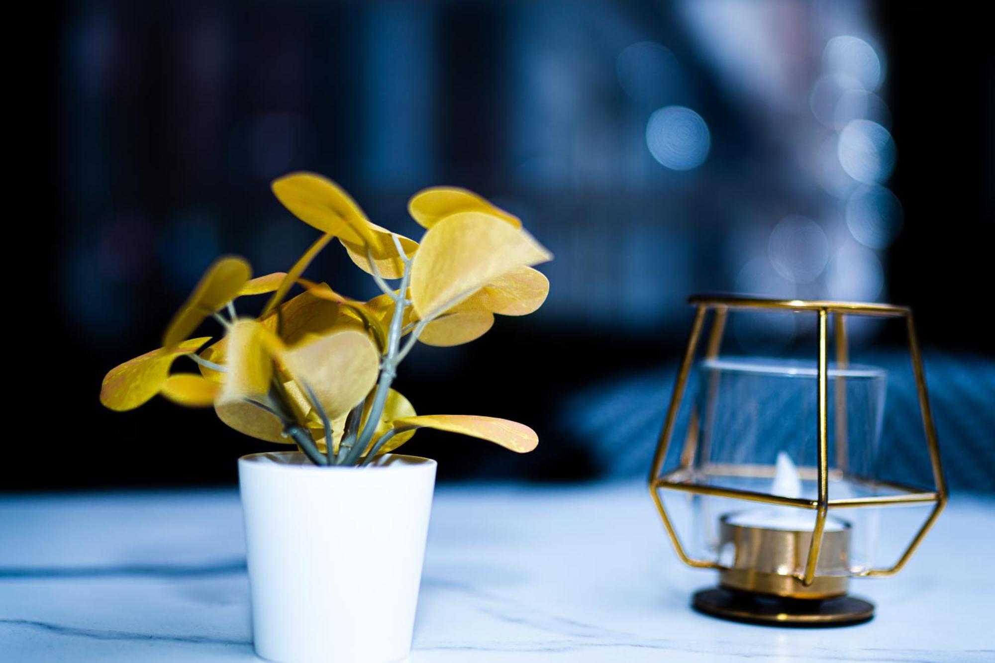 Hotel Professor Leuven Centrum Екстериор снимка
